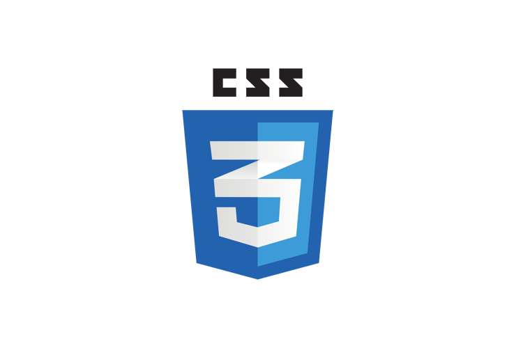 css3 developer